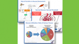 t2diabetes-slides1